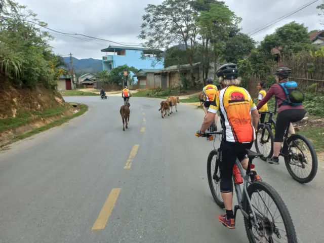 18 Days Cycling from Vientiane to Hanoi