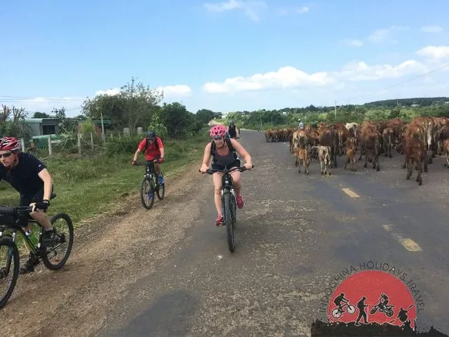 3 Days Luang Prabang Free and Easy Cycling Tour