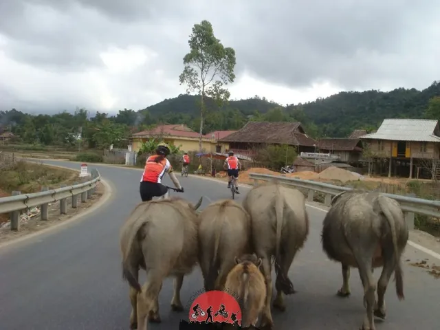 Luang Prabang Cycling To Thailand Border – 5 Days 2