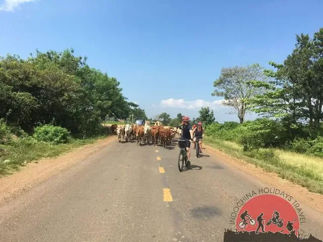 Luang Prabang Trek and Cycle To Vientiane - 8 Days 4